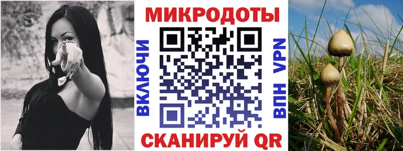 Галлюциногенные грибы Psilocybine cubensis  цены наркотик  гидра вход  Борисоглебск 