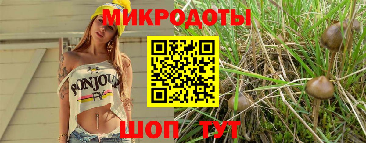 Галлюциногенные грибы прущие грибы Борисоглебск