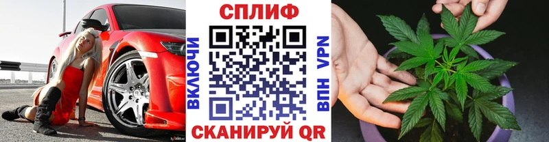 Марихуана сатива  наркошоп  Борисоглебск 